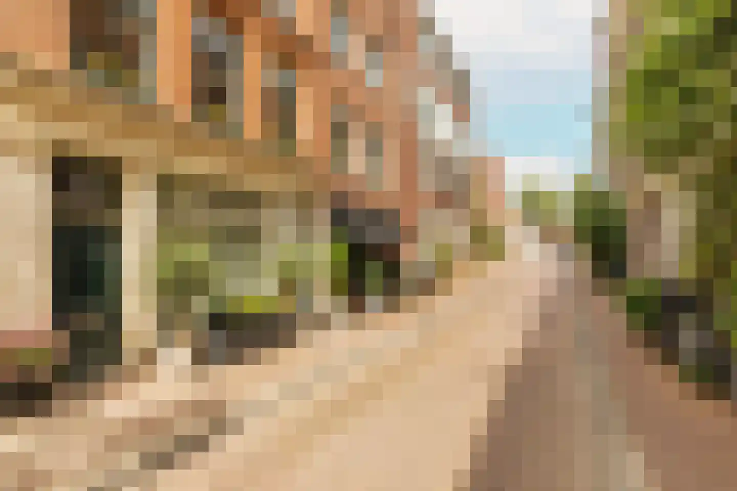 Buiten Dommersstraat 32 Amsterdam thumbnail 26