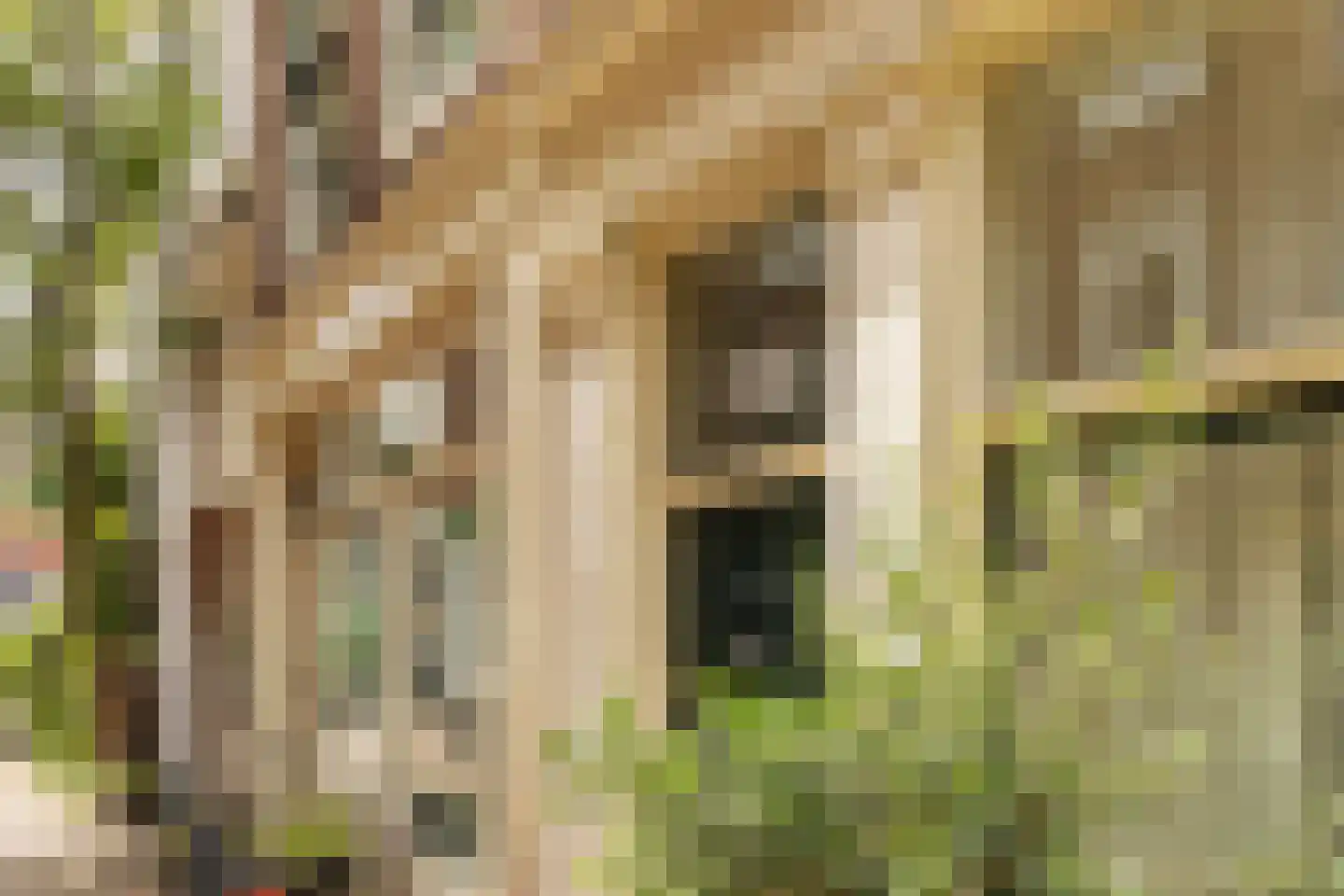 Buiten Dommersstraat 32 Amsterdam thumbnail 28
