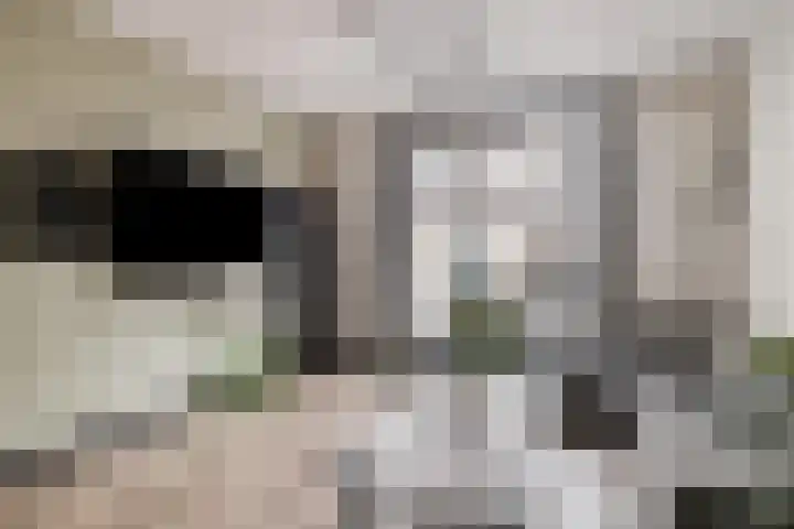 Buiten Hofstraat 16 Kampen thumbnail 4