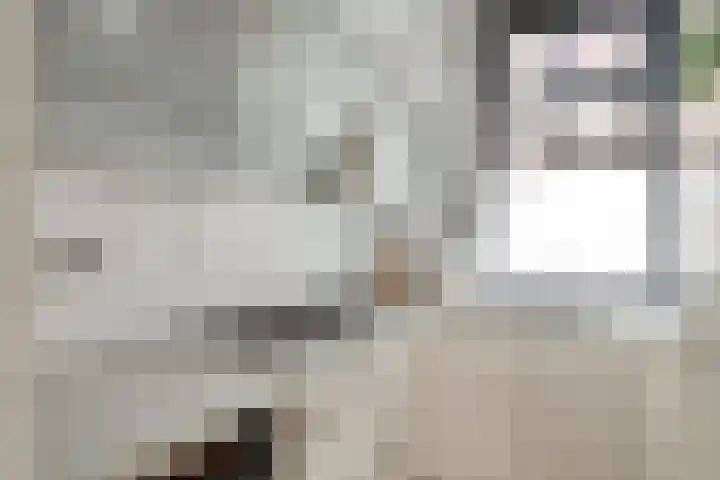 Buiten Hofstraat 16 Kampen thumbnail 8