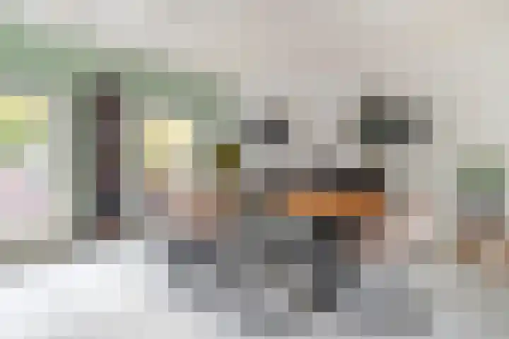 Buiten Hofstraat 55 Kampen thumbnail 18