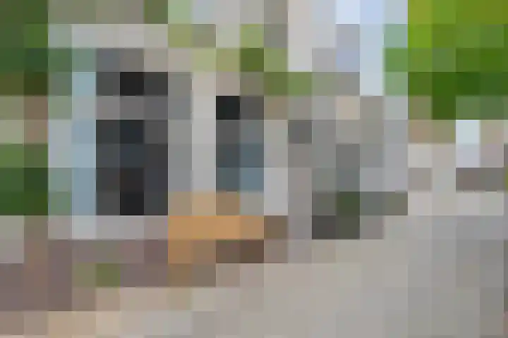 Buiten Hofstraat 55 Kampen thumbnail 33