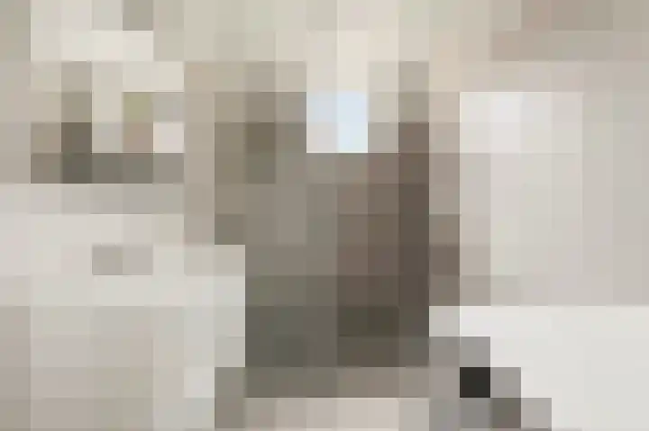 Buiten Kadijken 4 Amsterdam thumbnail 18