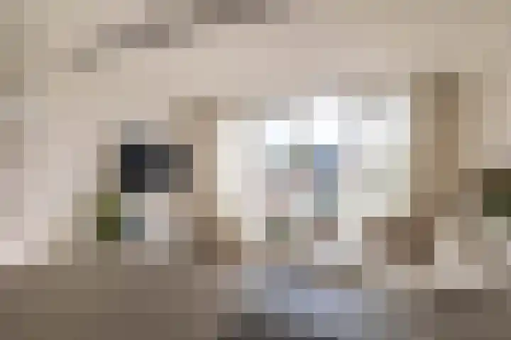 Buiten Kadijken 59 Amsterdam thumbnail 11