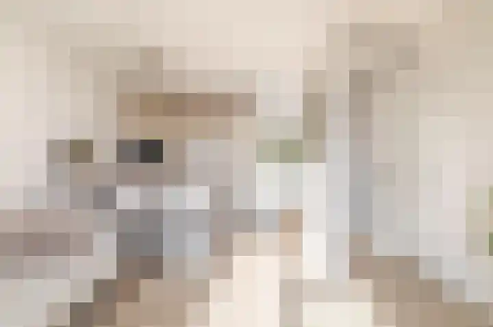 Buiten Kadijken 59 Amsterdam thumbnail 7