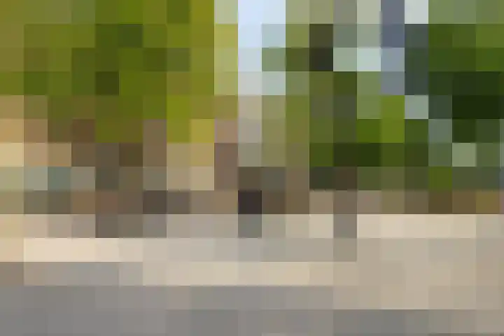 Buiten Kadijken 85 Amsterdam thumbnail 33