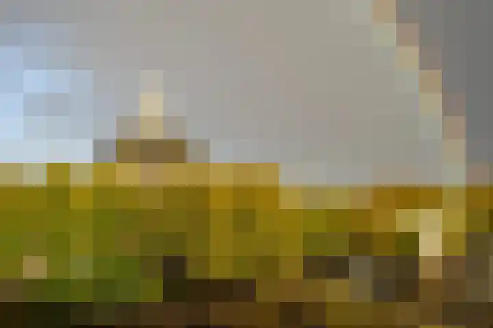 Buiten Kadijken 85 Amsterdam thumbnail 34