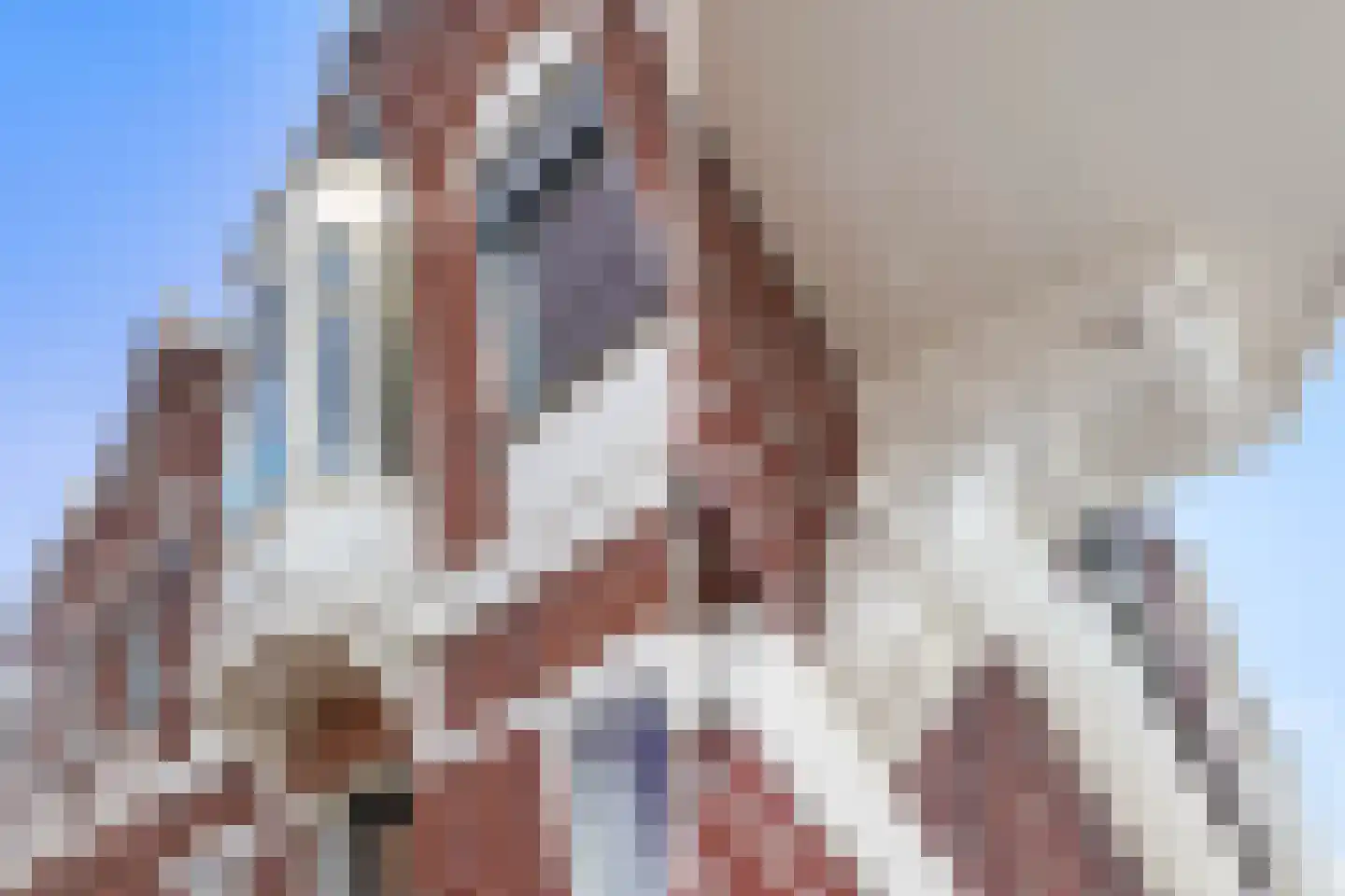 Buiten Kalkhaven 10 Dordrecht thumbnail 5