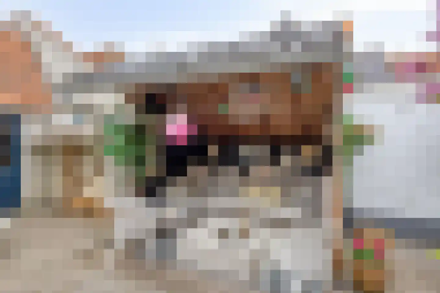 Buiten Nieuwstraat 114 Kampen thumbnail 32