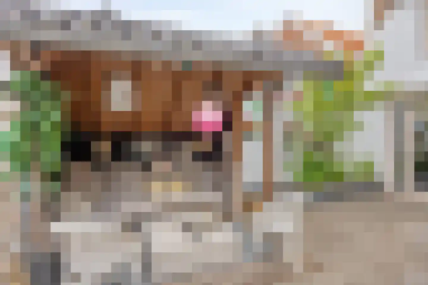 Buiten Nieuwstraat 114 Kampen thumbnail 33
