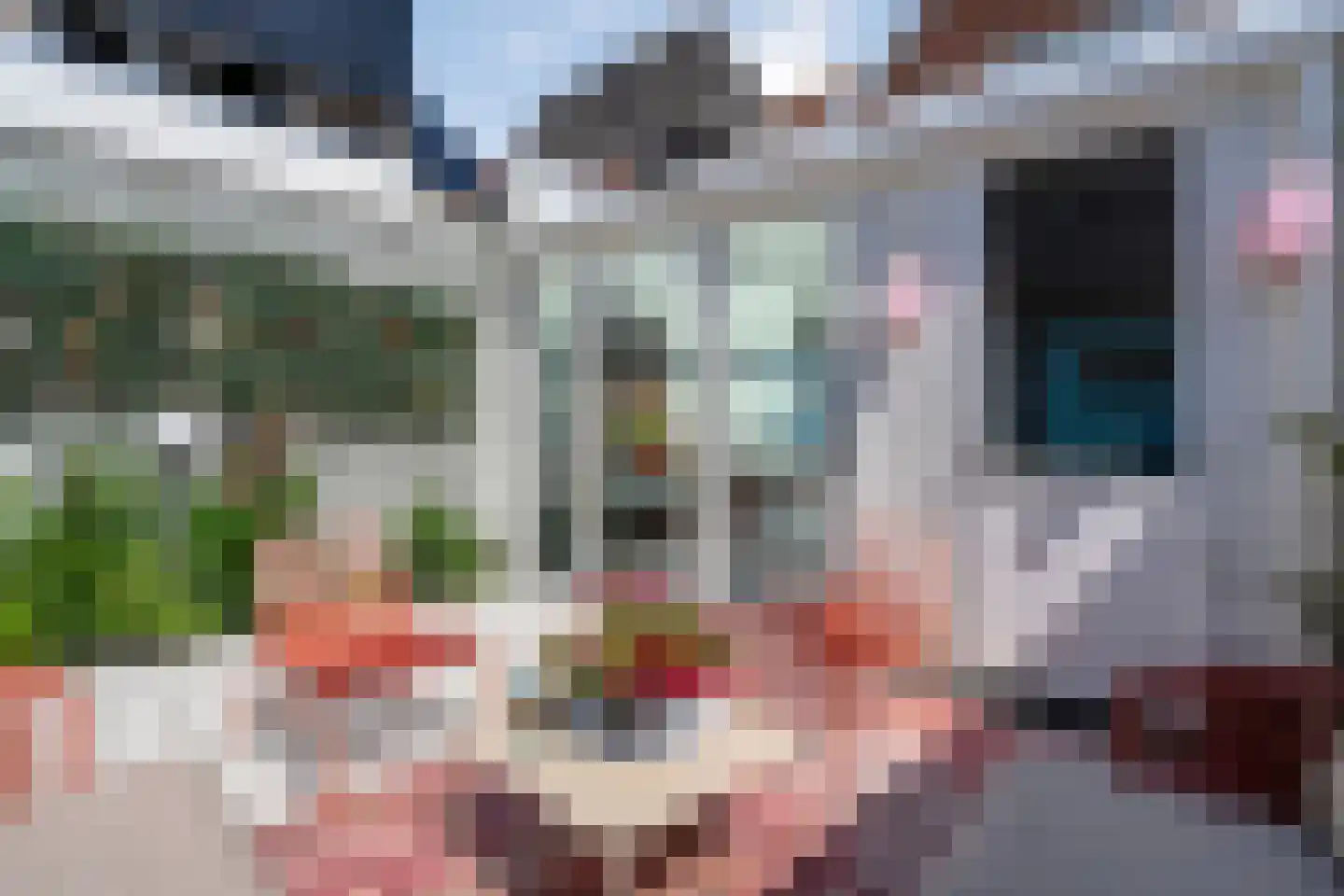 Buiten Nieuwstraat 116 Kampen thumbnail 32