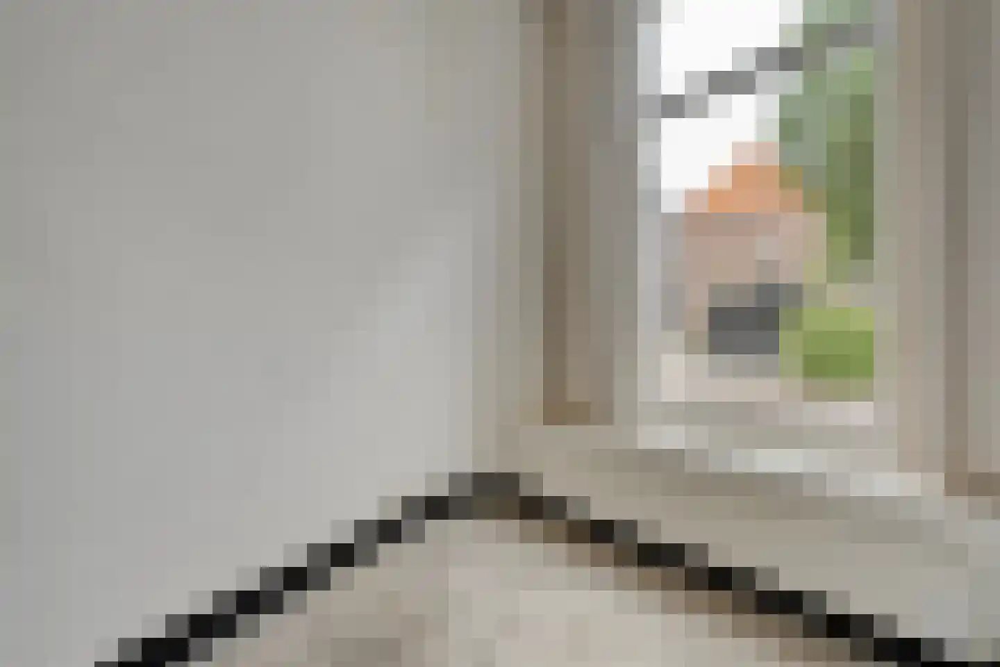 Buiten Nieuwstraat 48 Kampen thumbnail 5
