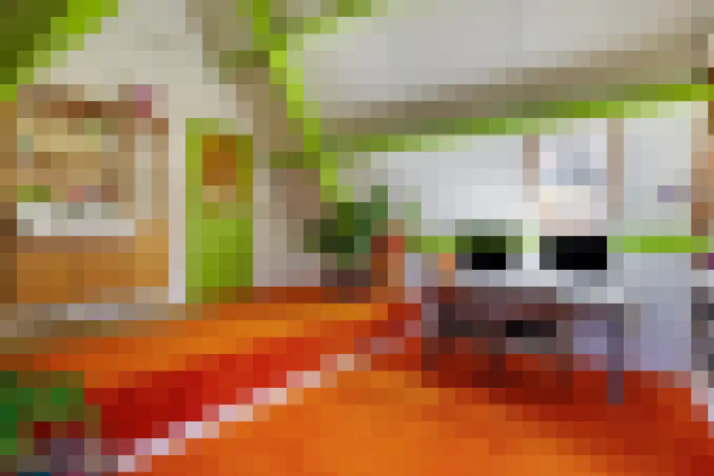 Buiten Nieuwstraat 60 Kampen thumbnail 41