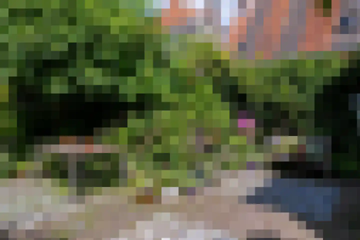 Buiten Nieuwstraat 60 Kampen thumbnail 47
