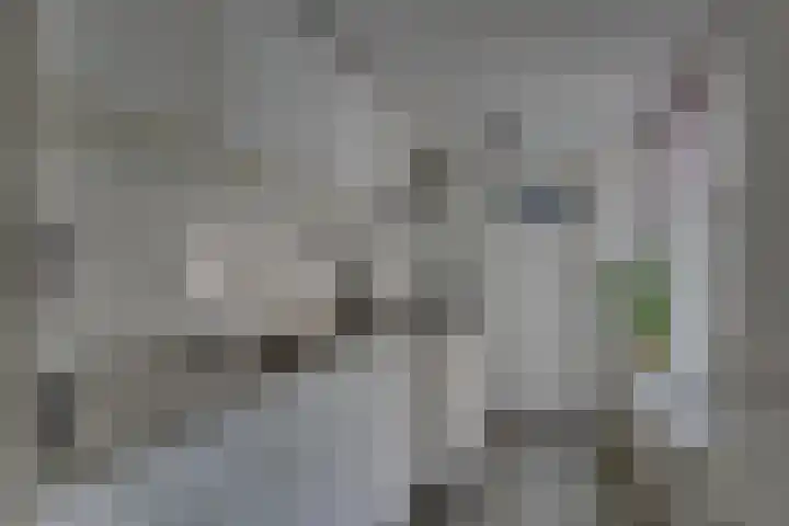 Buiten Nieuwstraat 70 Kampen thumbnail 33