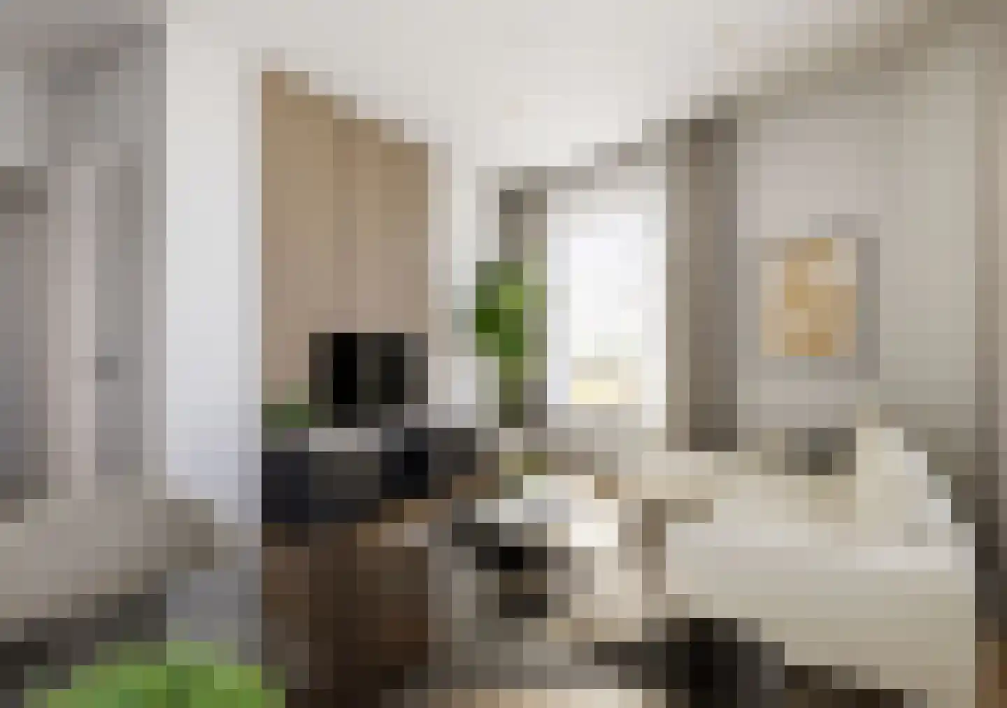 Buiten Nieuwstraat 85 A Kampen thumbnail 8