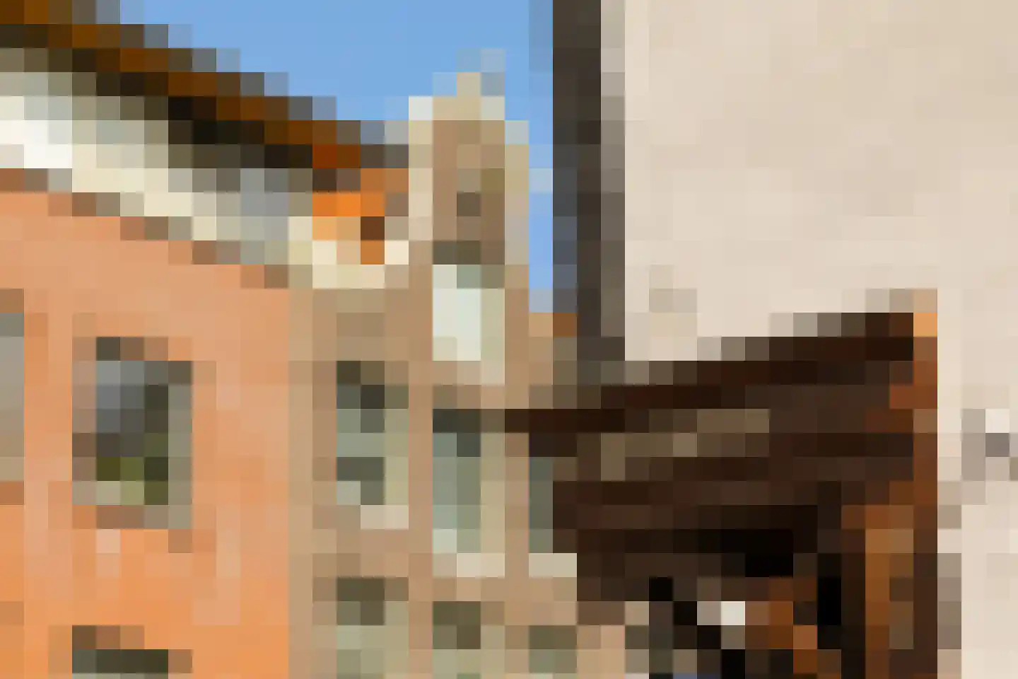 Buiten Oranjestraat 31 Amsterdam thumbnail 24