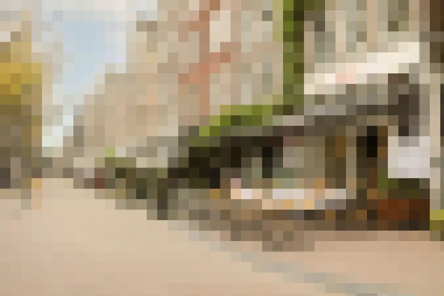 Buiten Oranjestraat 31 Amsterdam thumbnail 26