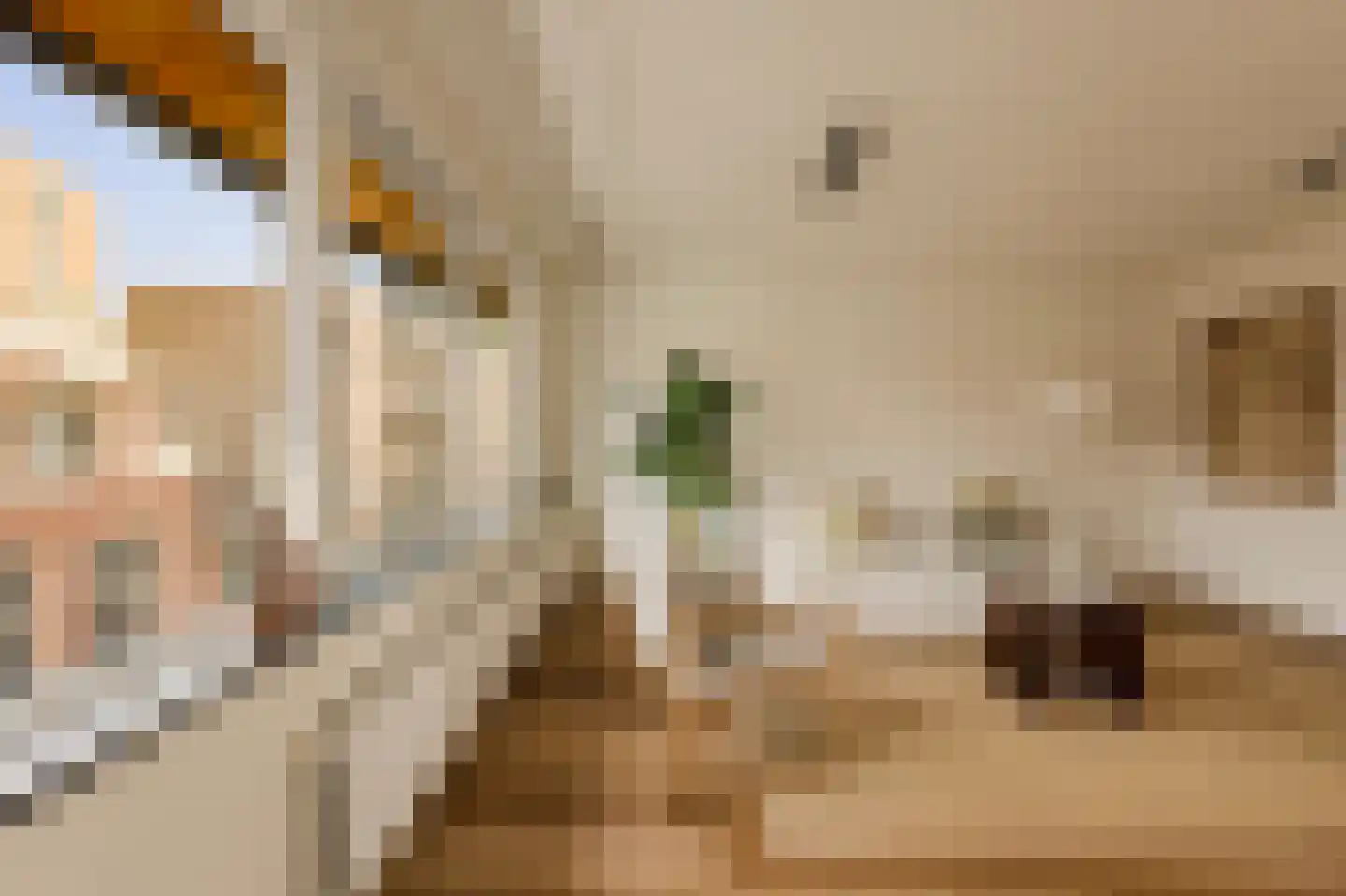 Buiten Oranjestraat 31 Amsterdam thumbnail 5