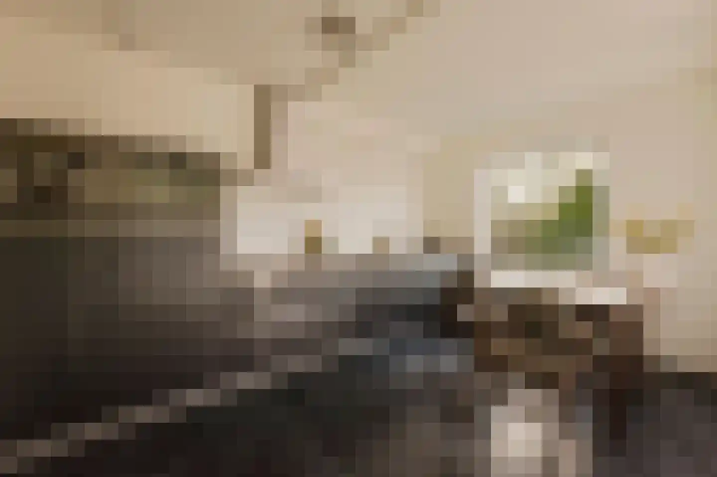Buiten Oranjestraat 31 Amsterdam thumbnail 9