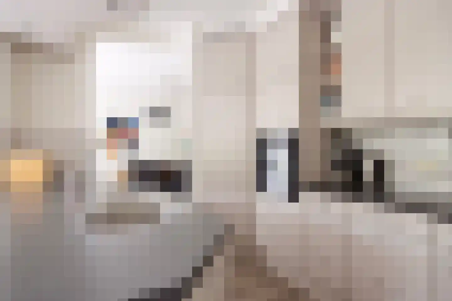 Buiten Sociëteitstraat 14 Oldenzaal thumbnail 11