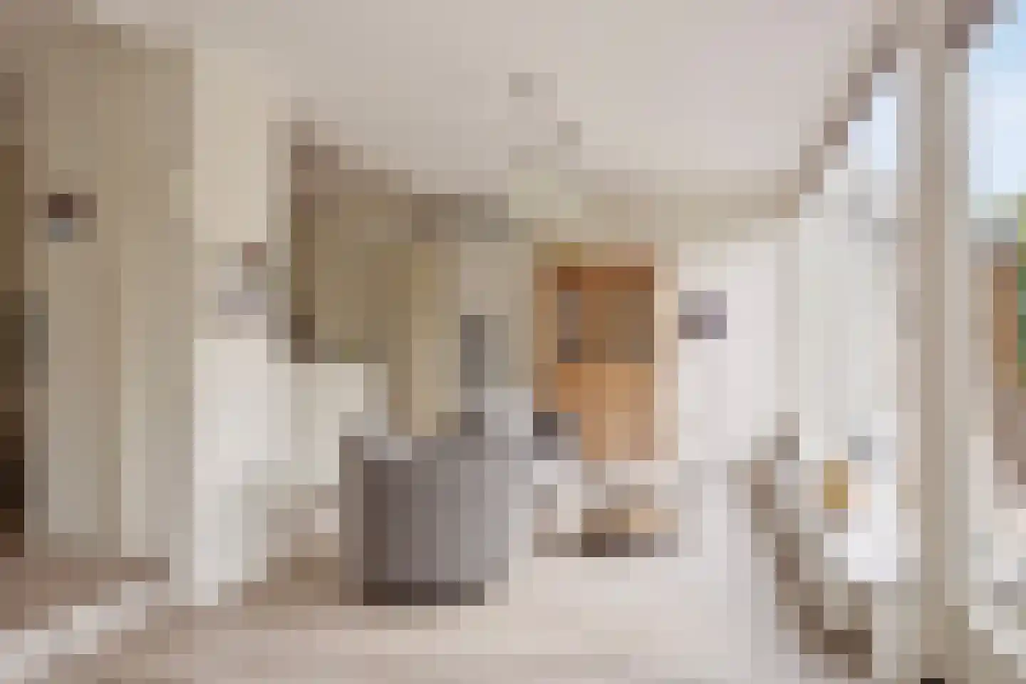 Buiten Sociëteitstraat 14 Oldenzaal thumbnail 14