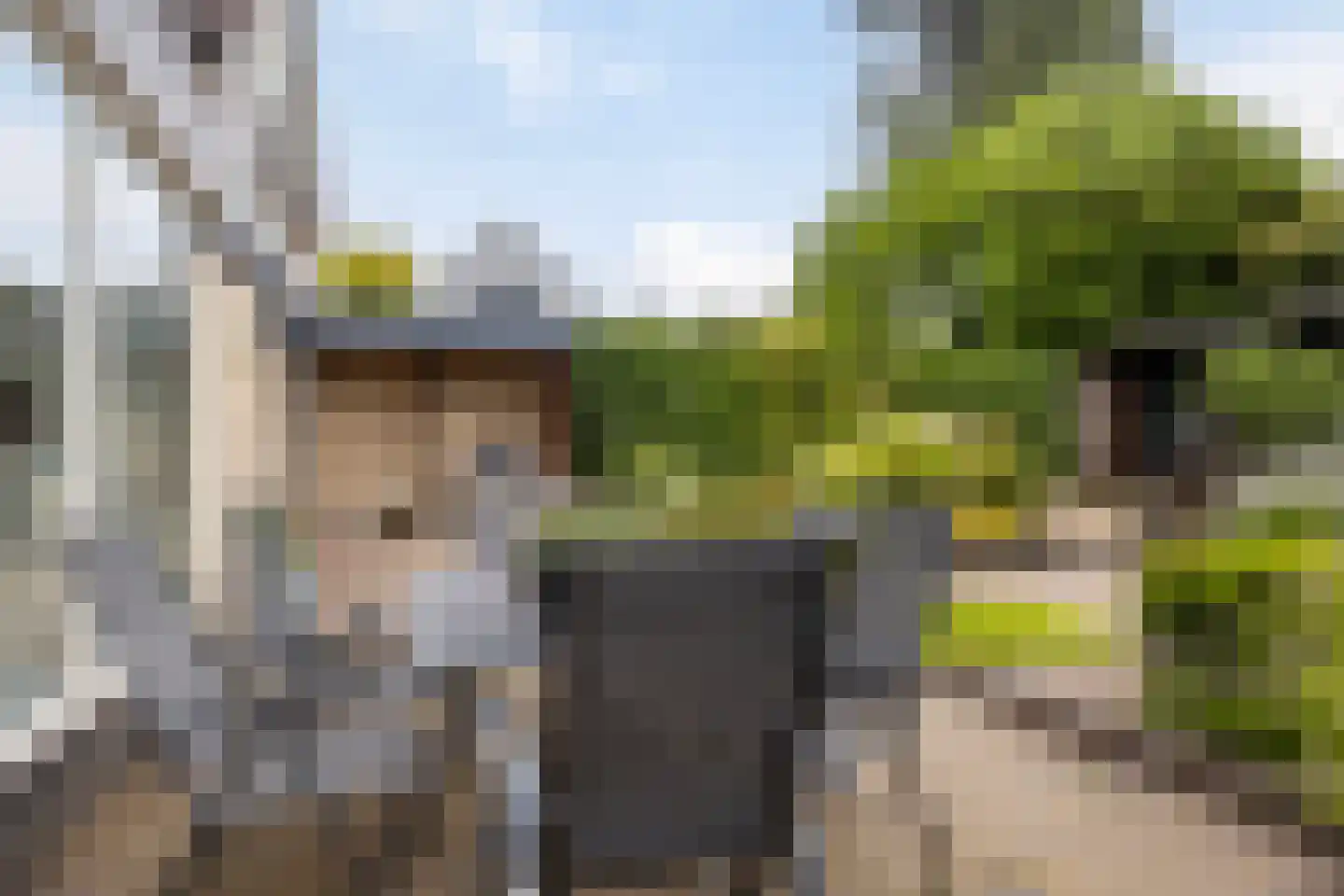 Buiten Sociëteitstraat 14 Oldenzaal thumbnail 31