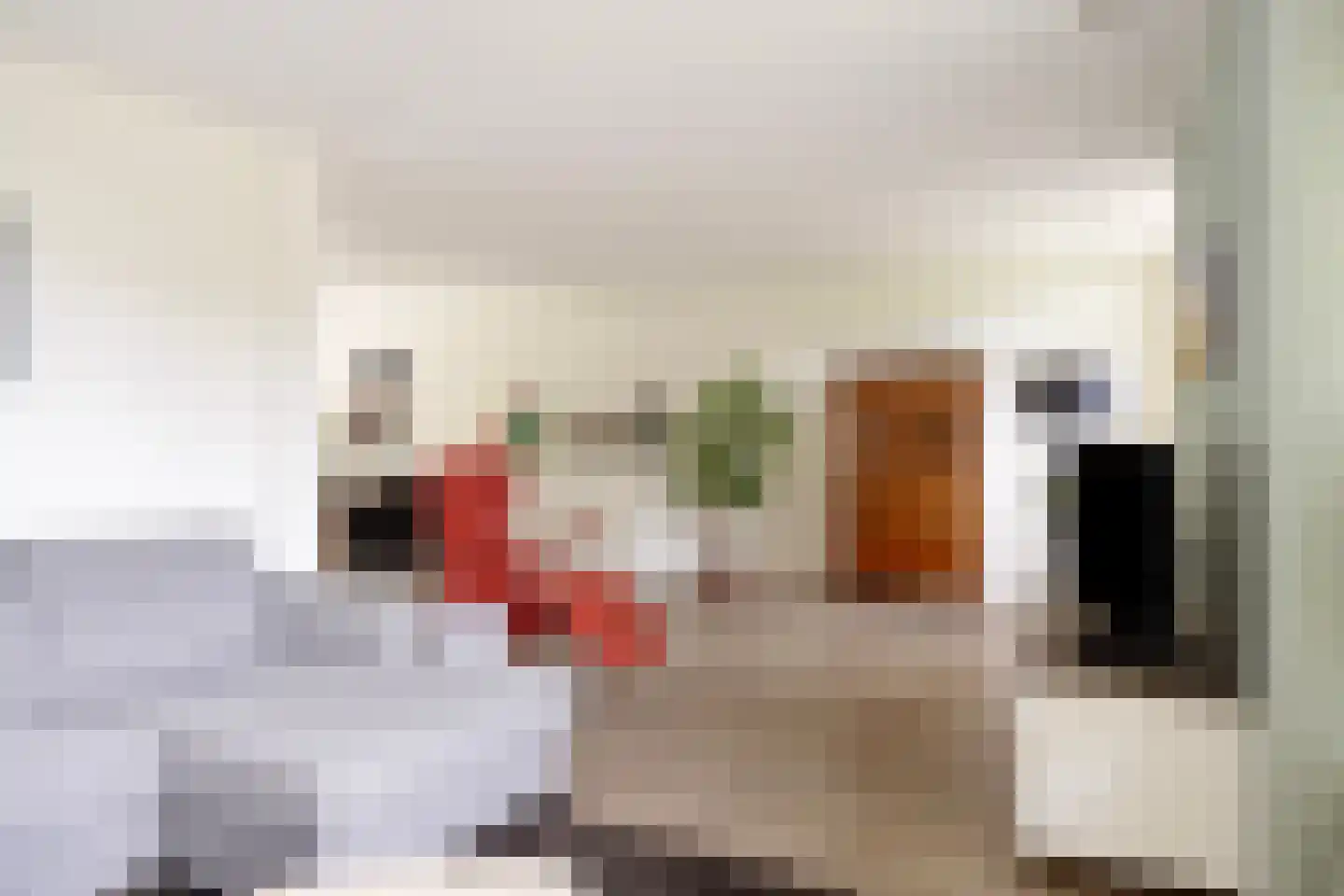 Buiten Sociëteitstraat 14 Oldenzaal thumbnail 7