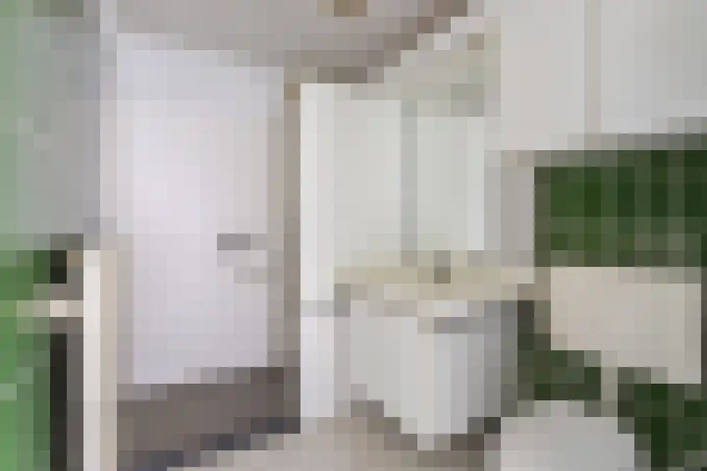 Buiten Sociëteitstraat 2 Oldenzaal thumbnail 8
