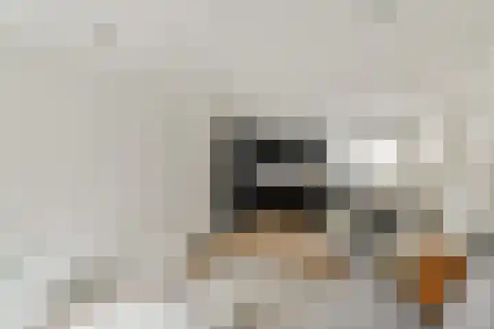 Buiten Vissersstraat 6 Amsterdam thumbnail 4
