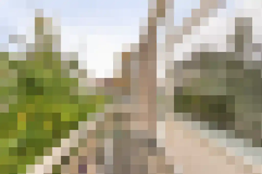 Buiten Walevest 10 Dordrecht thumbnail 33