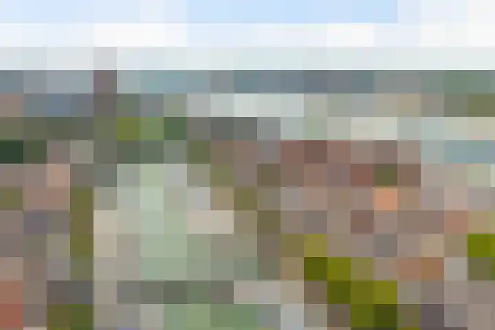 Buiten Walevest 101 Dordrecht thumbnail 43