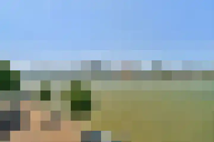 Buiten Walevest 116 Dordrecht thumbnail 11