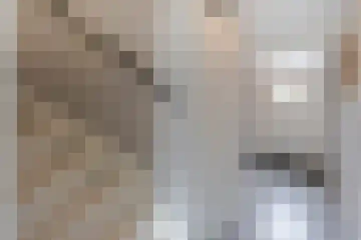 Buitenaf 19 Sliedrecht thumbnail 10