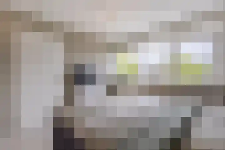Buitenaf 19 Sliedrecht thumbnail 19