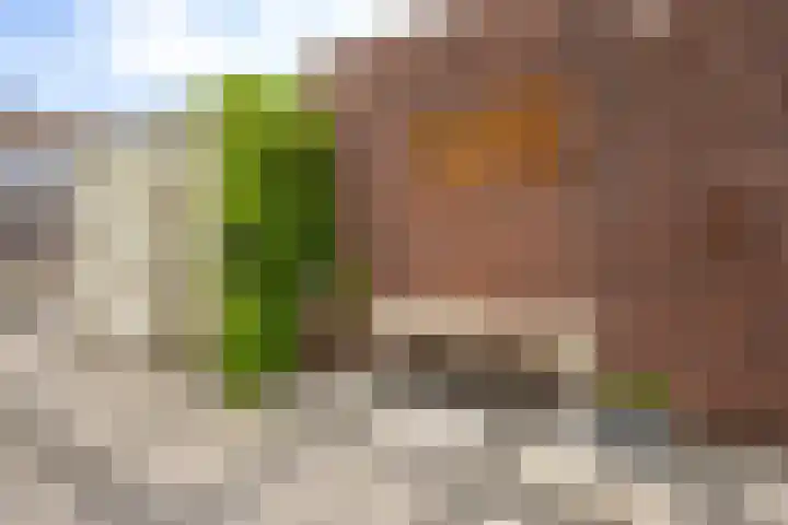 Buitenaf 19 Sliedrecht thumbnail 25