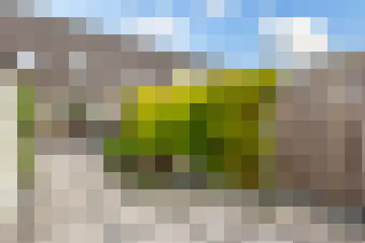 Buitenaf 19 Sliedrecht thumbnail 26