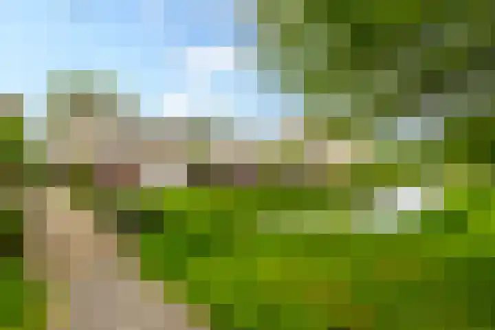 Buitenaf 19 Sliedrecht thumbnail 28
