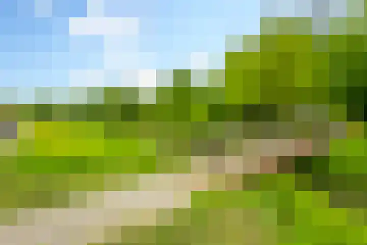 Buitenaf 19 Sliedrecht thumbnail 29