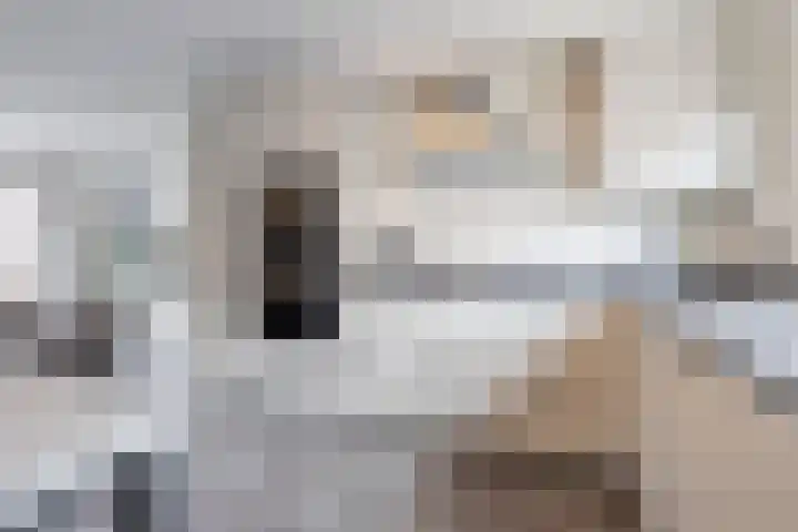 Buitenaf 19 Sliedrecht thumbnail 9