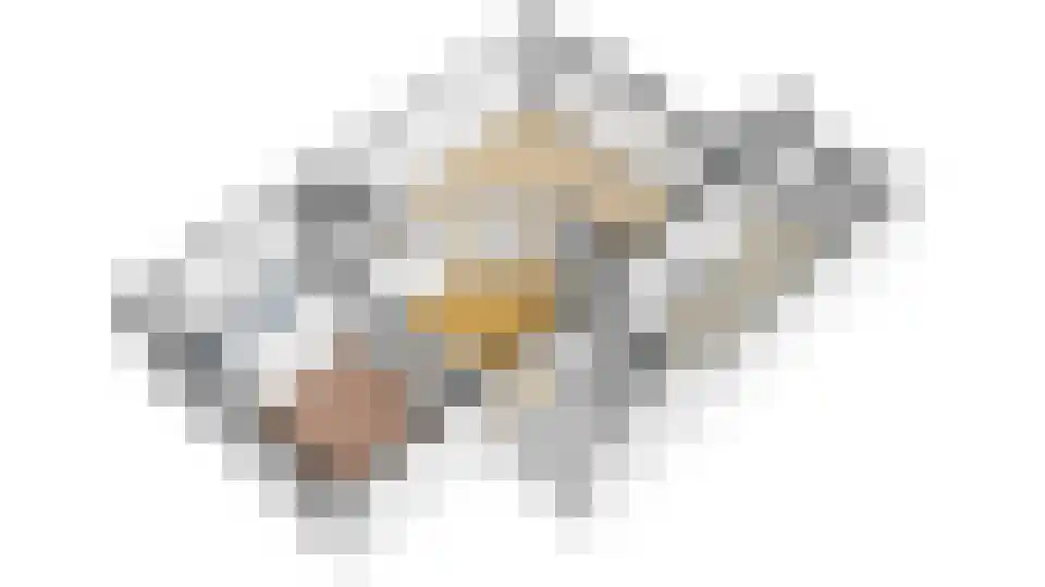 Buitenakker 19 Hooghalen thumbnail 40