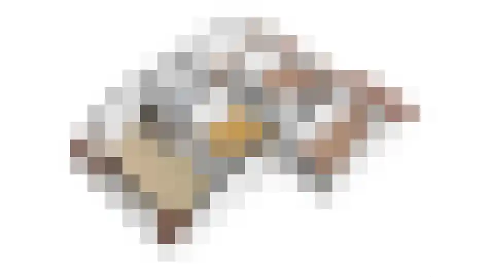 Buitenakker 19 Hooghalen thumbnail 42