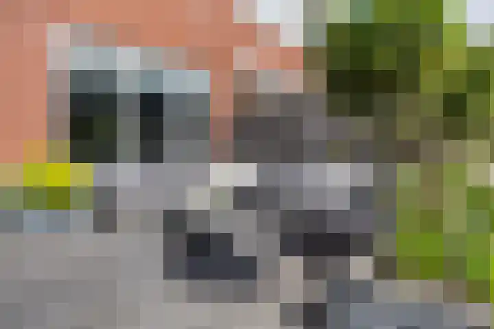 Buitenbaan 59 Gorinchem thumbnail 13