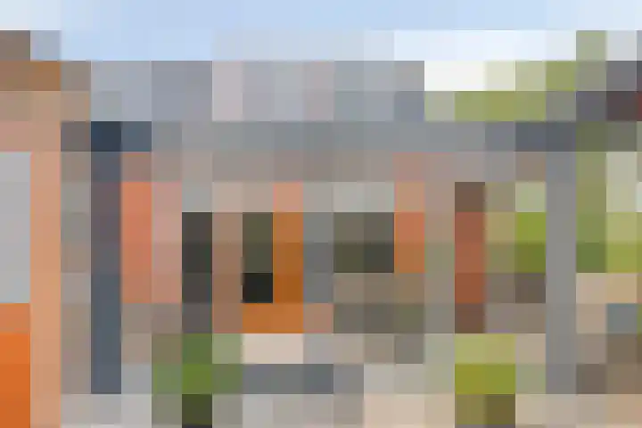 Buitenbaan 62 Gorinchem thumbnail 31