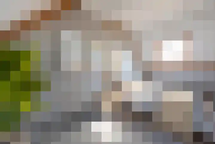 Buitenbaan 63 Gorinchem thumbnail 8