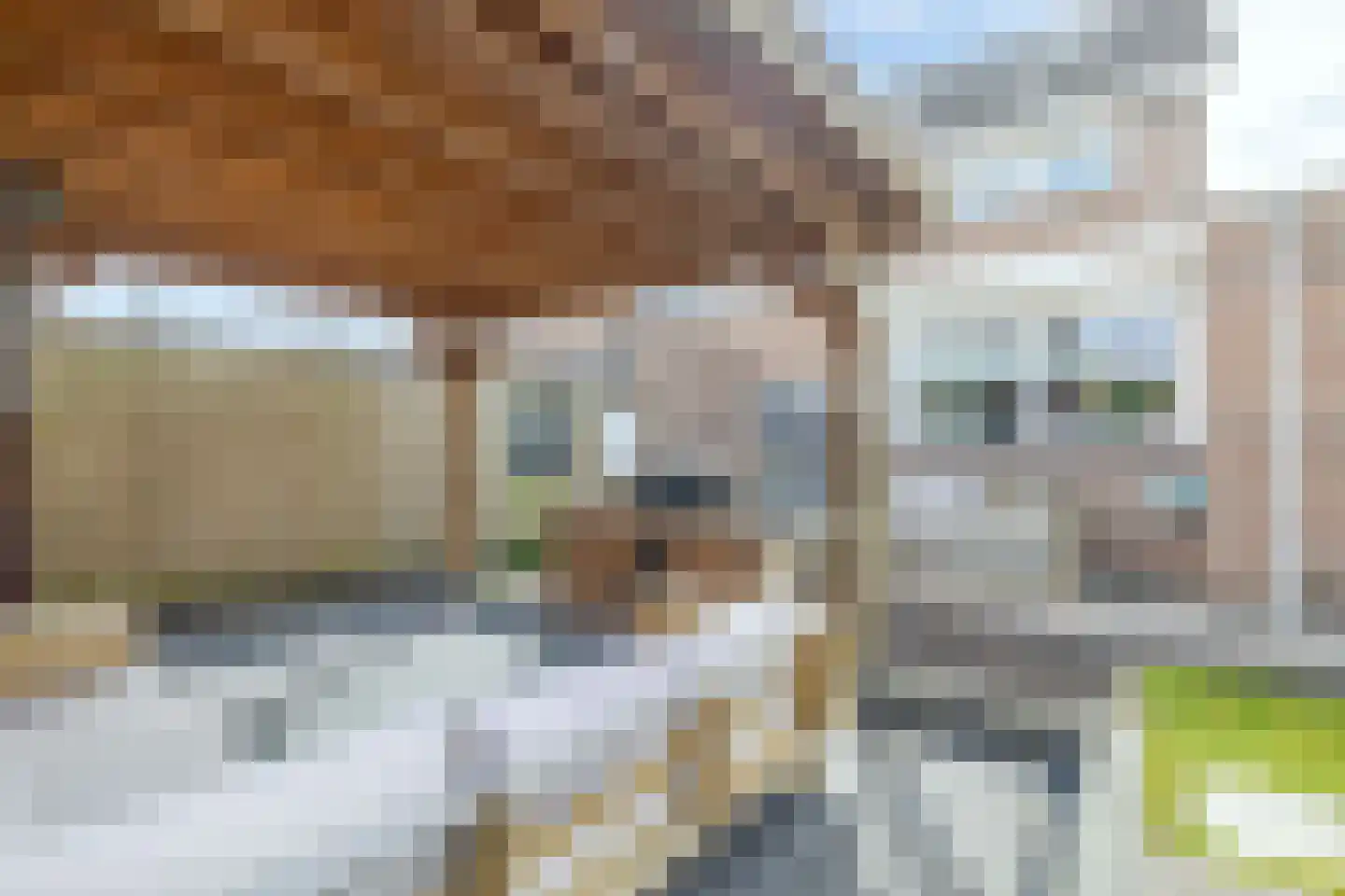 Buitenbaardt 10 Lemmer thumbnail 25