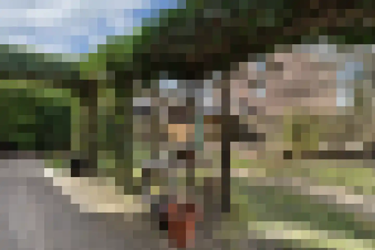 Buitenbaardt 2 Lemmer thumbnail 14