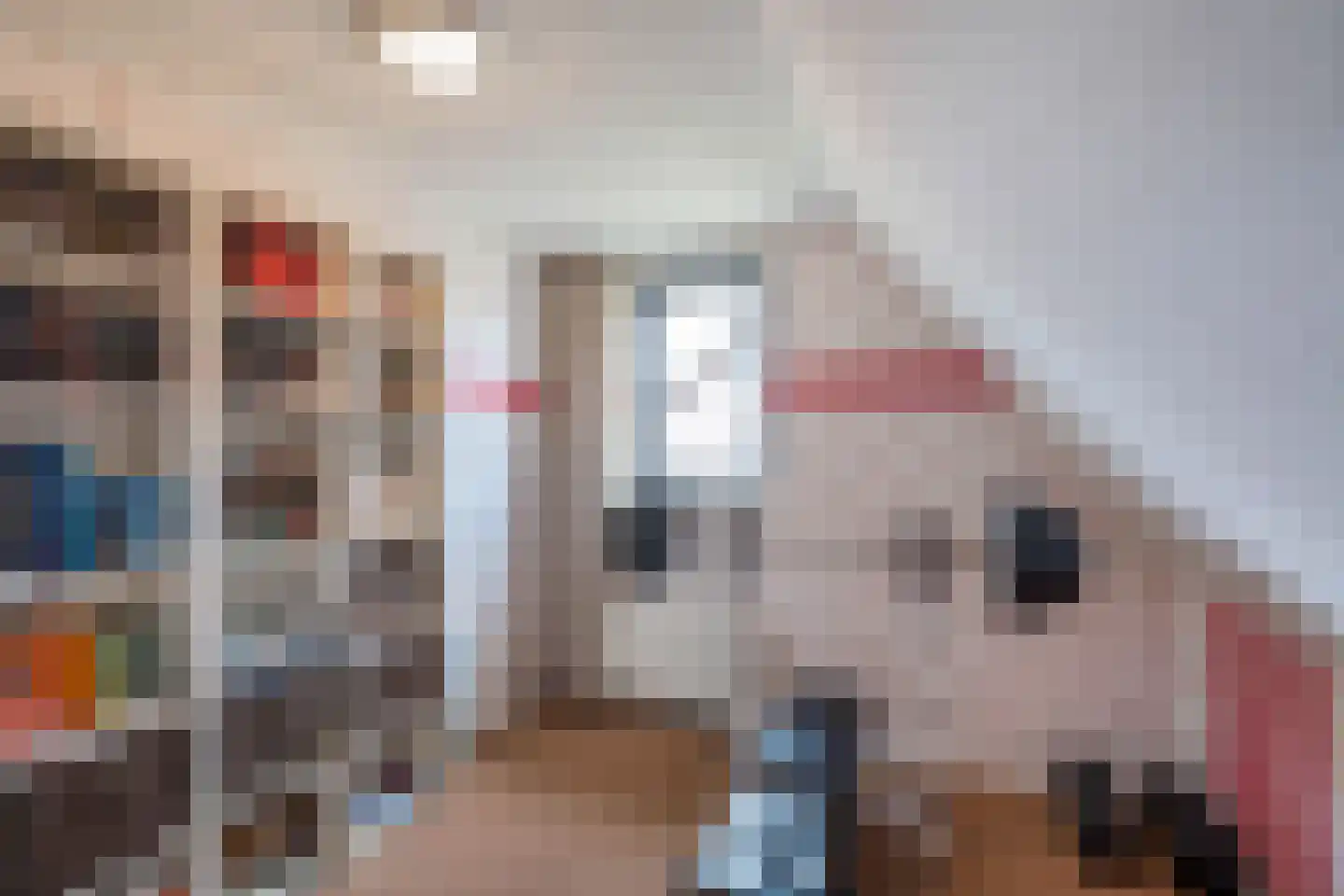 Buitenbaardt 2 Lemmer thumbnail 23