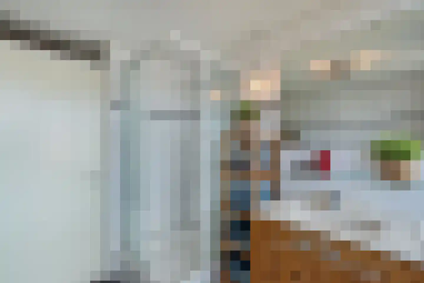 Buitenbaardt 2 Lemmer thumbnail 26