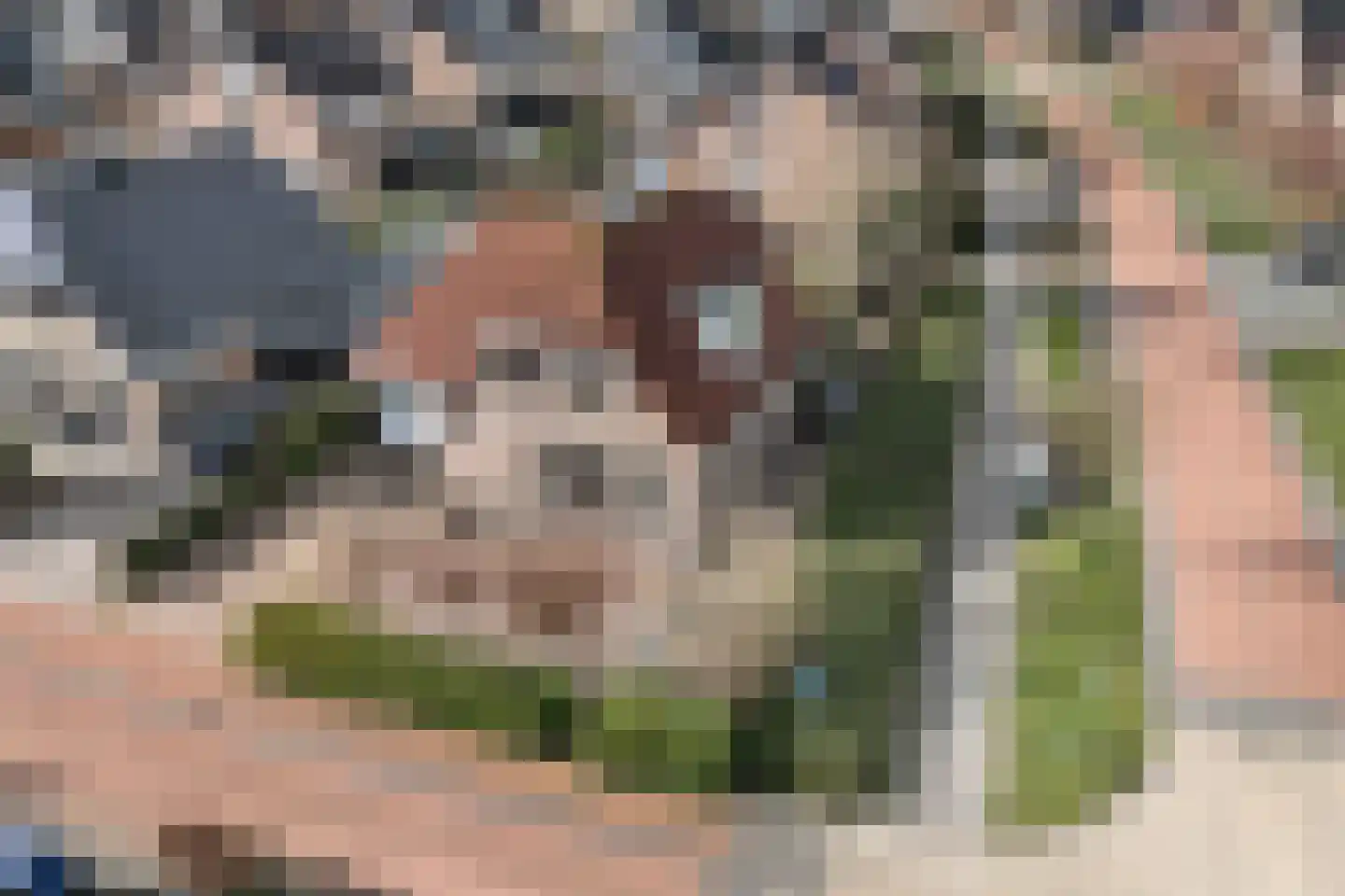 Buitenbaardt 2 Lemmer thumbnail 27